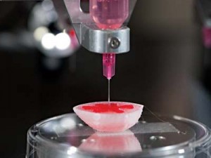 Experiments in printing a kidney. Courtesy Wake Forest Institute For Regenerative Medicine
